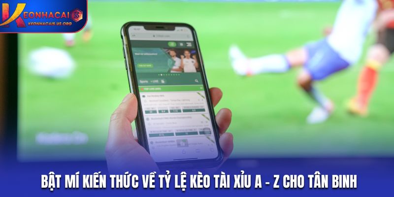 Bật Mí Kiến Thức Về Tỷ Lệ Kèo Tài Xỉu A - Z Cho Tân Binh