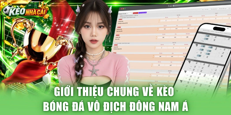 Giới thiệu chung về kèo bóng đá vô địch Đông Nam Á